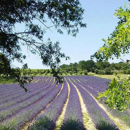 Residence La Licorne De Haute-Provence Greoux-Les-Bains - Prv06100H-Cya